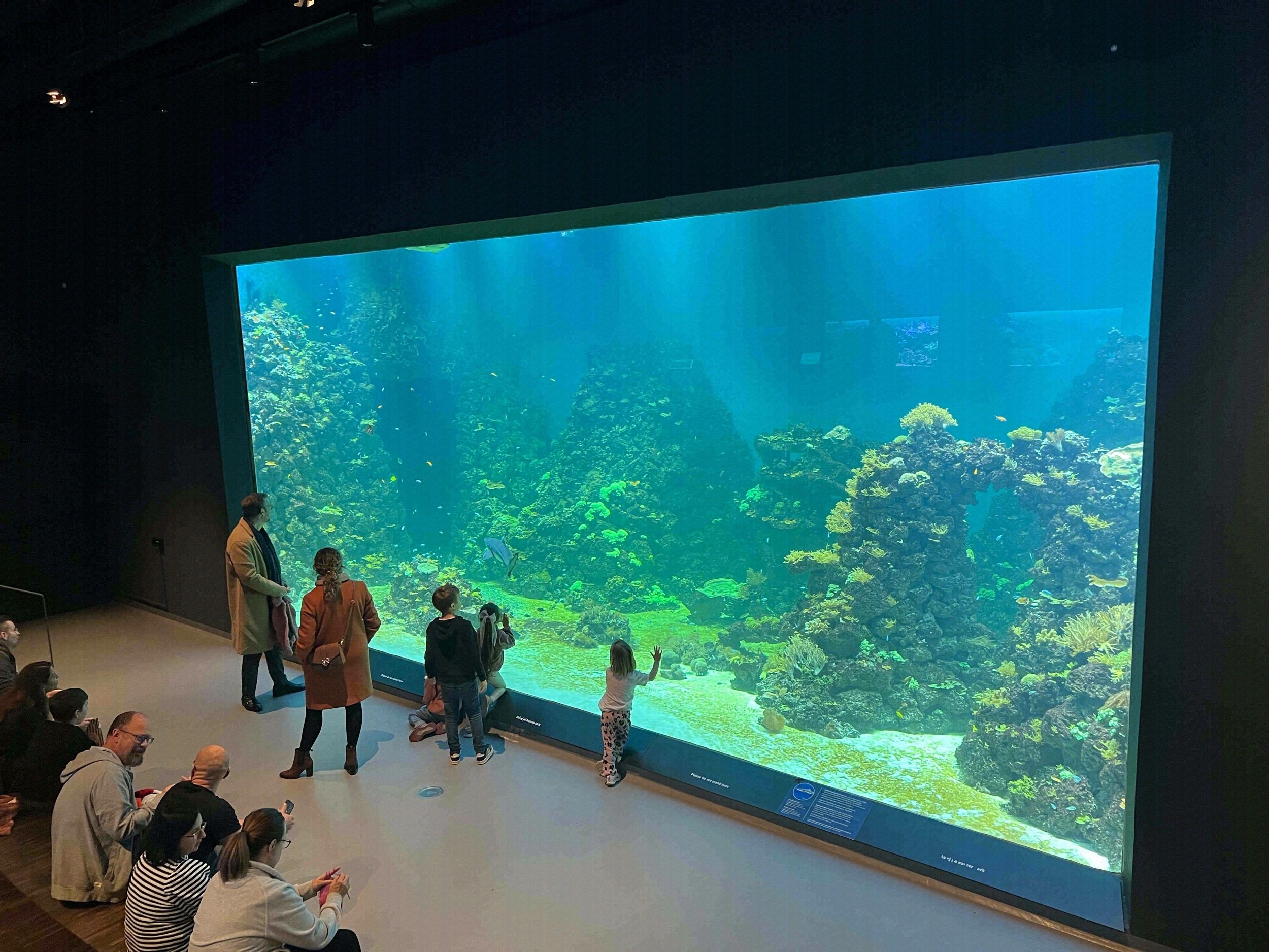 Besucher bestaunen das riesige Korallenriff-Becken im Aquarium des Sjöfartsmuseet Akvariet.