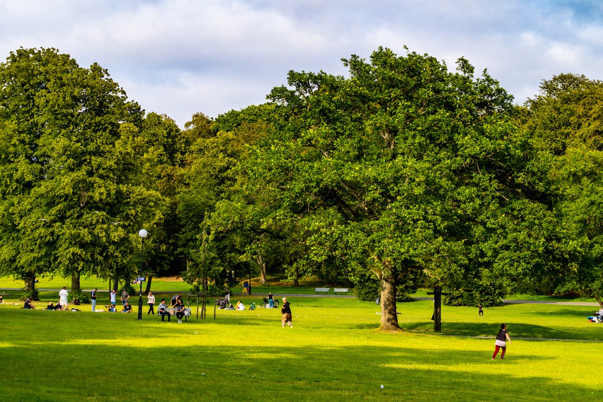 A summer's day on the great lawn in Slottsskogen